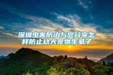 深圳蟲害防治與您分享怎樣防止幼犬寵物生虱子