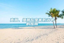 真菌、細菌在蟲害防治中的應用