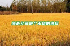 消殺公司是個不錯的選擇